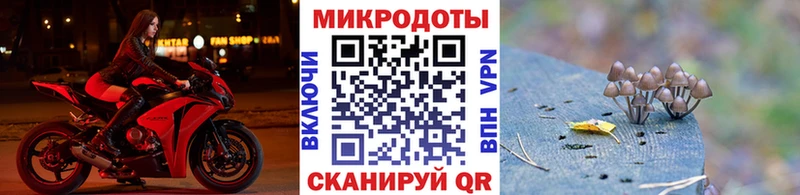 Галлюциногенные грибы MAGIC MUSHROOMS  Звенигово 